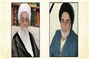 فقدان آیت‌الله عاملی برای مراکز علمی و دینی خسارت است