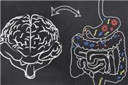 ارتباط شخصیت با میکروبیوم روده!