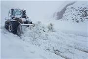 مسائل زیست محیطی، میزان نمک پاشی جاده‌ها را محدود می‌کند