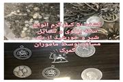 قاچاق 665 کیلو جگر مرغ/ 50 کیلو سکه پهلوی کشف شد