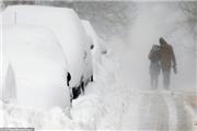 جان باختن 12 تن در سرمای بی‌سابقه در آمریکا