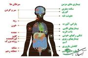 2 بیماری خطرناک در کمین قلیانی‌ها+ اینفوگرافی