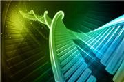 بومی‌سازی کیت‌های استخراج DNA و RNA توسط یک شرکت دانش‌بنیان