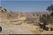 پرورش "شتر مرغ" روستای خالی از سکنه را احیا کرد + عکس