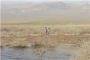 جدال کجی نهبندان با طوفان و گرما/چهره تالاب چنگی به دل نمی‌زند