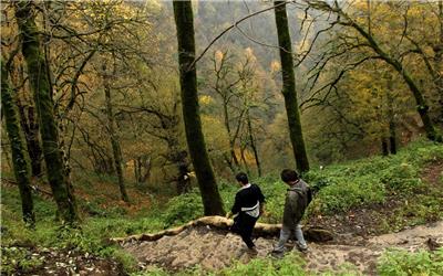 طبیعت‌ درمانی با پاییز در غرب گیلان