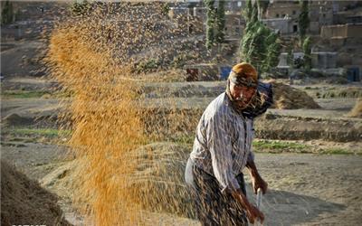 8 طرح خودکفایی محصولات کشاورزی چشم‌انتظار نگاه دولت