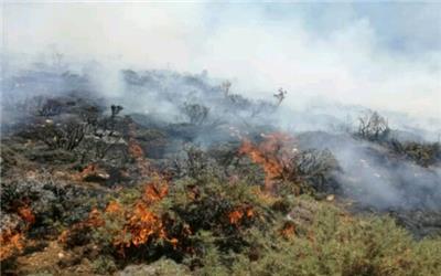 آتش سوزی منطقه حفاظت شده دیل گچساران مهار شد