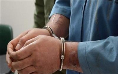 عامل اهانت به مسئولان نظام دستگیر شد/ «شعارنویس» تعادل رفتاری نداشت