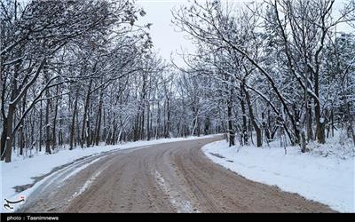 بارف برف و باران در جاده‌های 11 استان