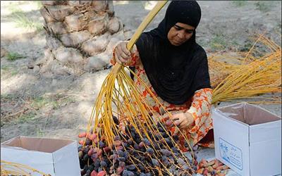 تاثیر مشاغل خانگی بر وضعیت زنان روستایی