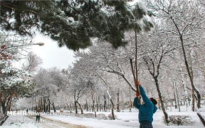 طبیعت برفی بجنورد